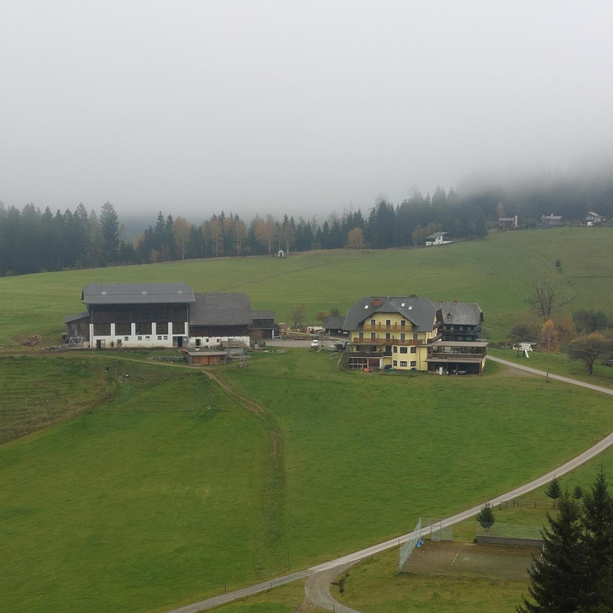 Almgasthof Spitzer Sankt Stefan ob Leoben 外观 照片